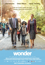 wonder